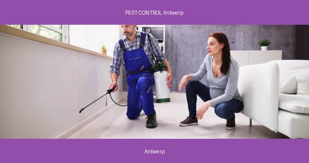 PEST CONTROL Antwerp